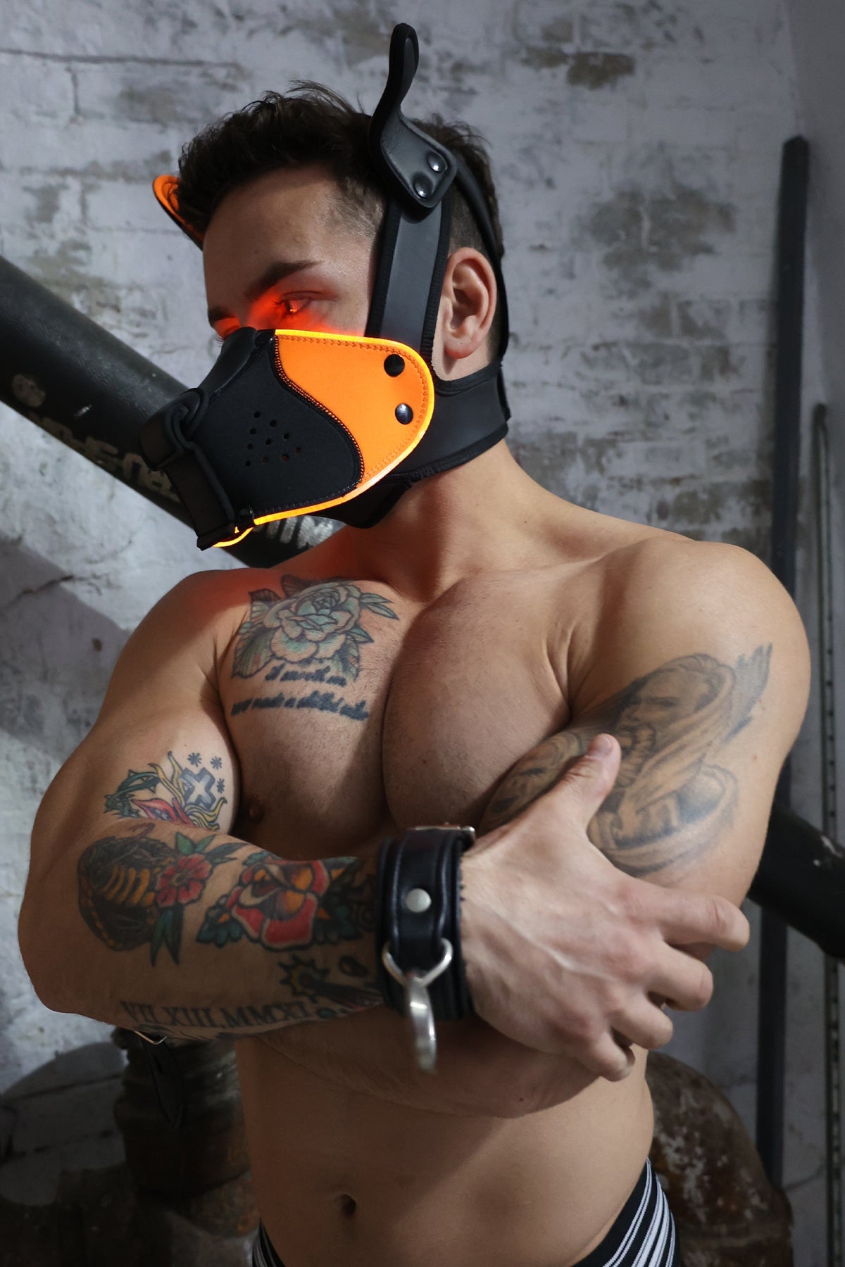 Poundtown Pup Mask 2.0 - Neon Orange - Breedwell