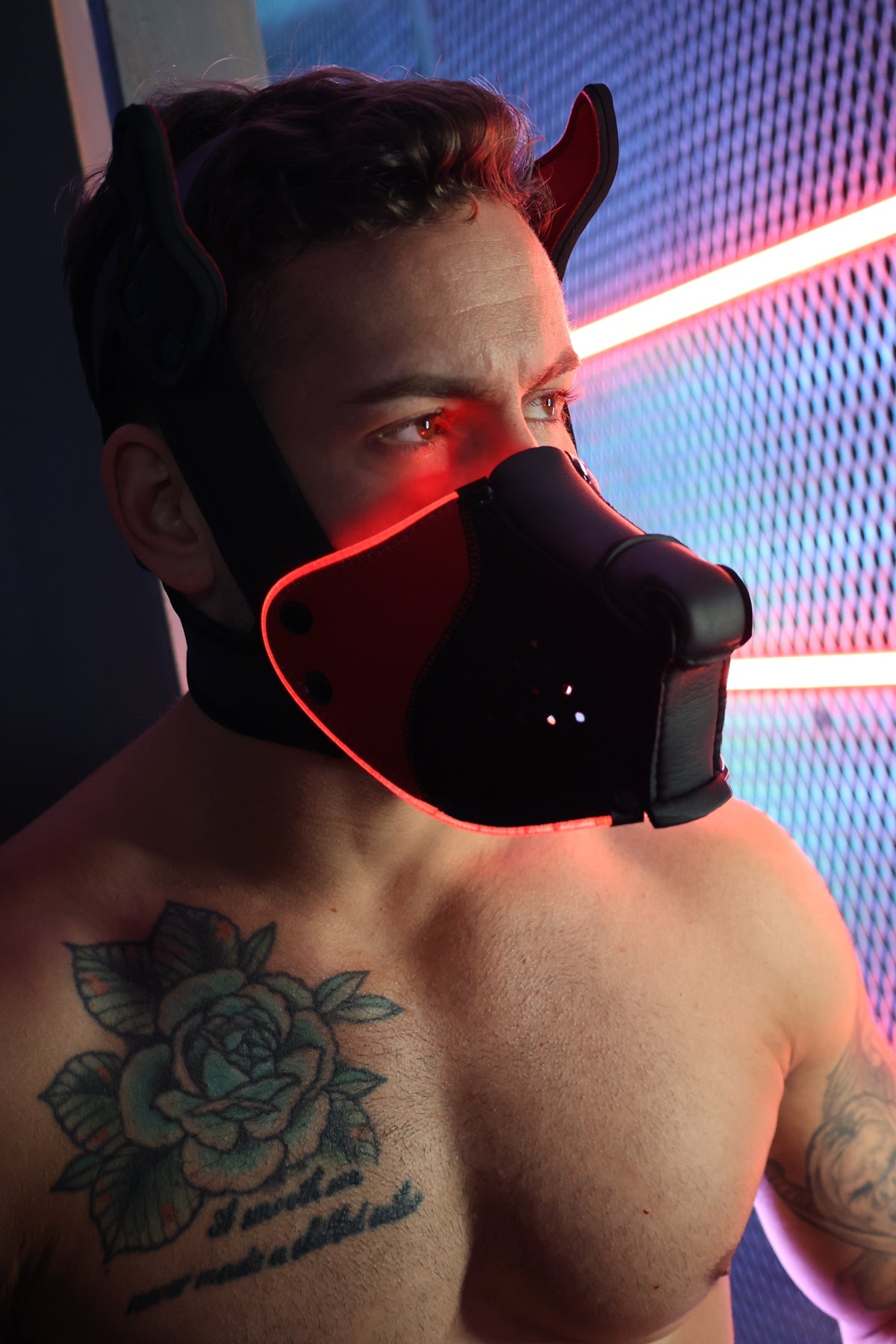 Poundtown Pup Mask 2.0 - Red - Breedwell