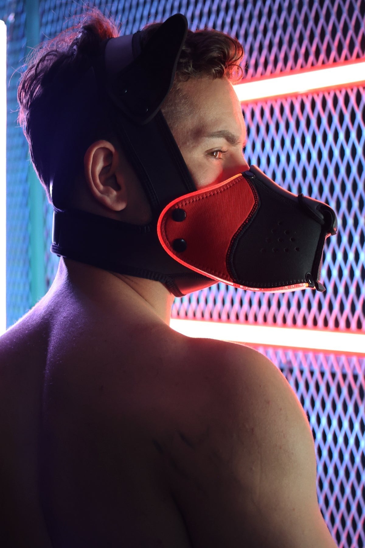 Poundtown Pup Mask 2.0 - Red - Breedwell