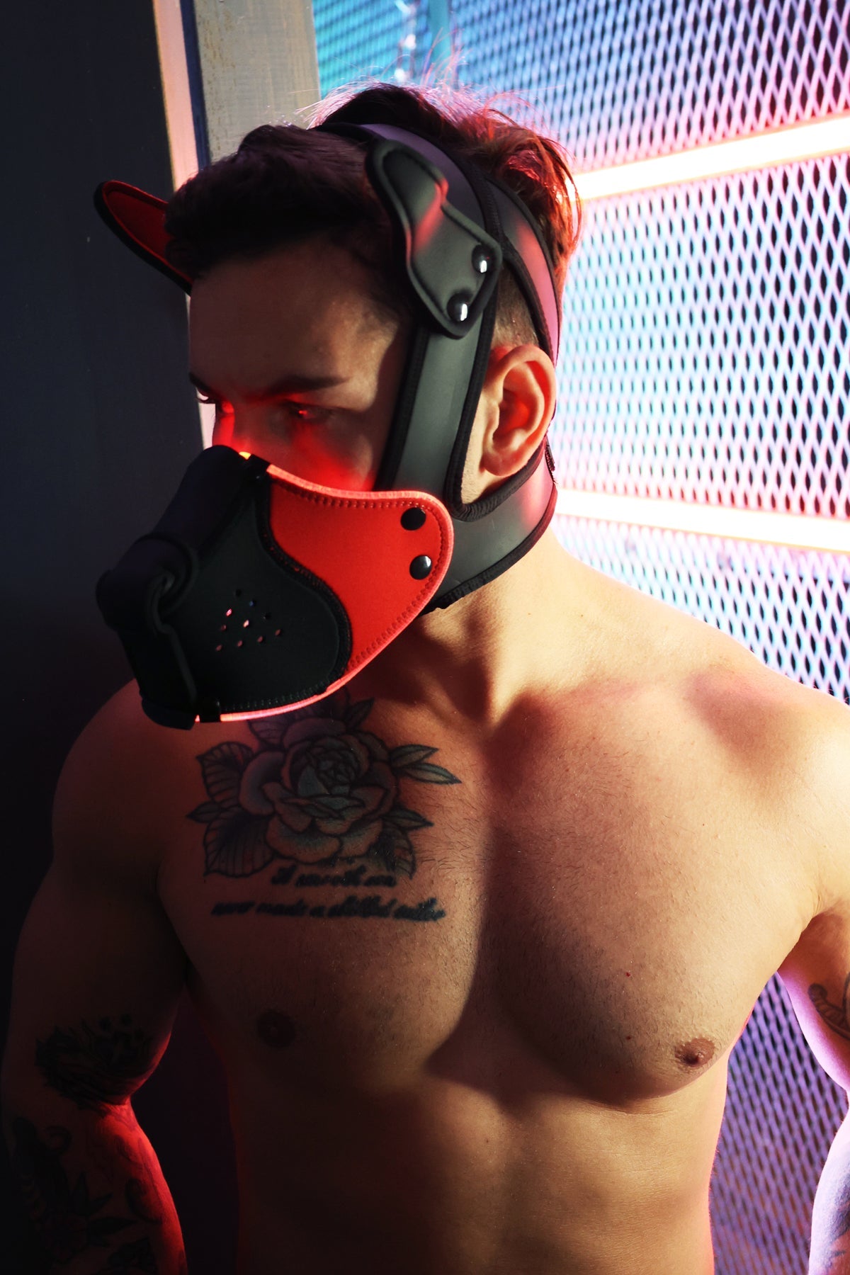 Poundtown Pup Mask 2.0 - Red - Breedwell