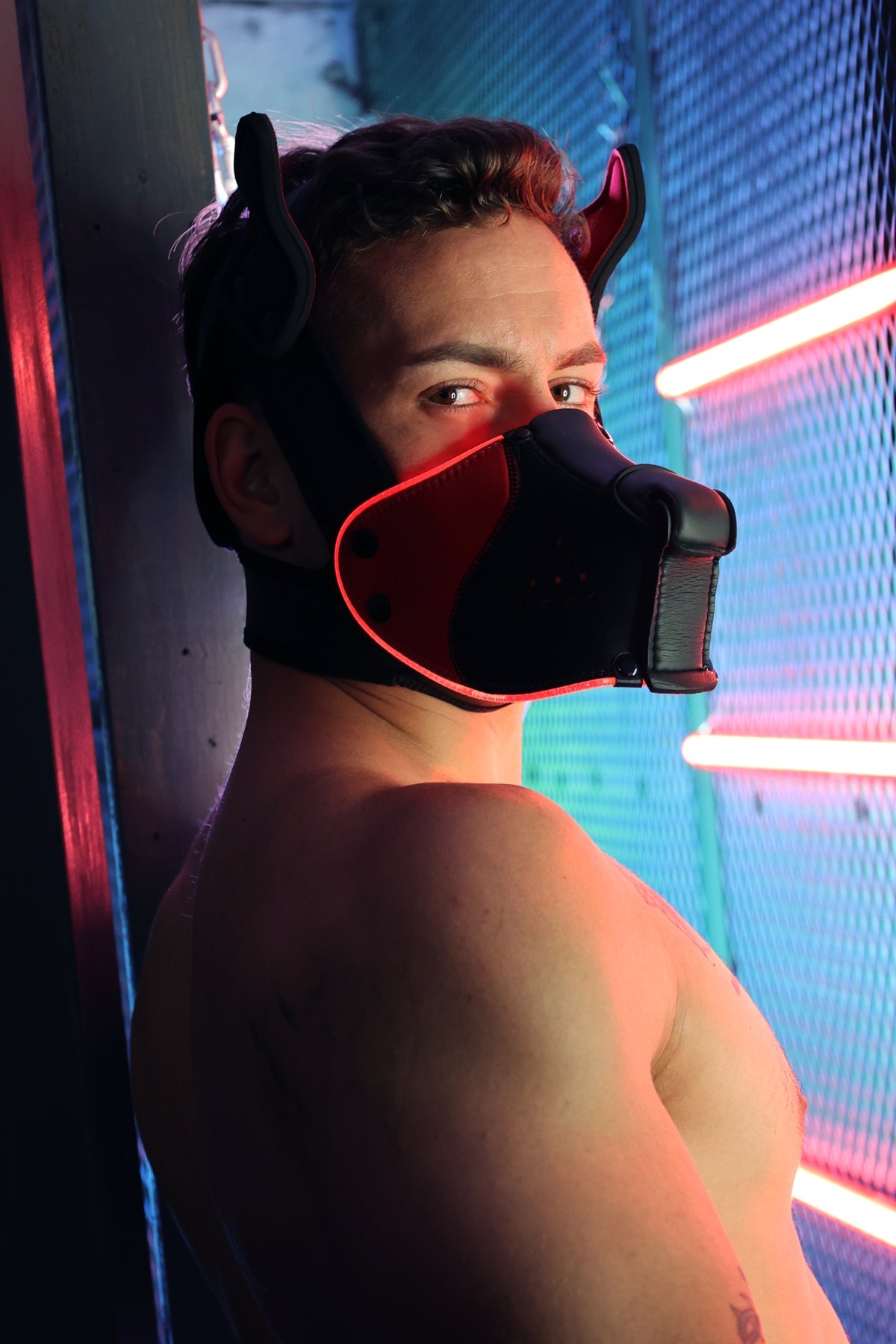 Poundtown Pup Mask 2.0 - Red - Breedwell