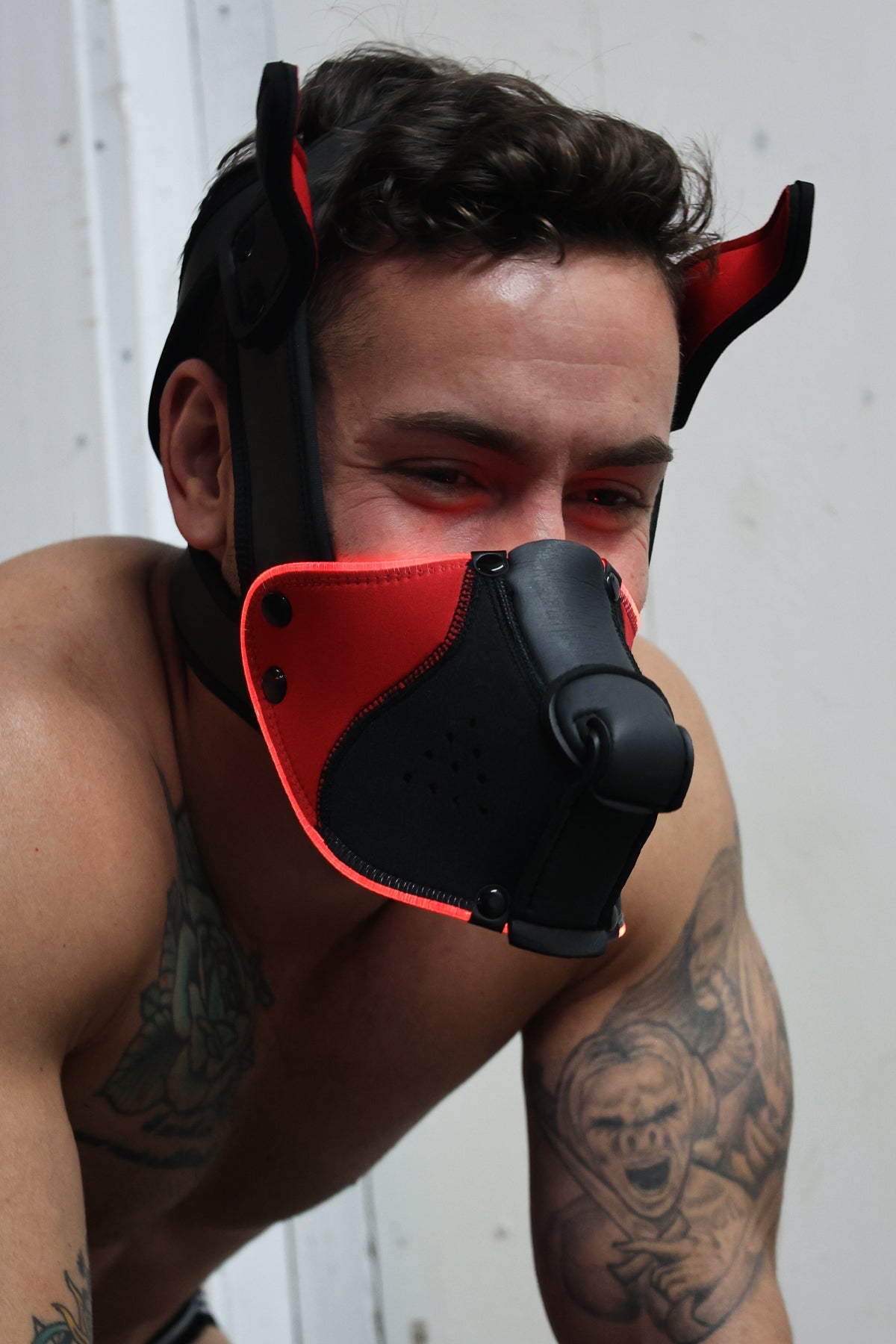 Poundtown Pup Mask 2.0 - Red - Breedwell