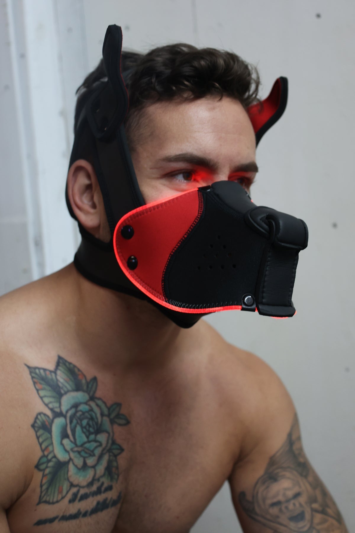 Poundtown Pup Mask 2.0 - Red - Breedwell