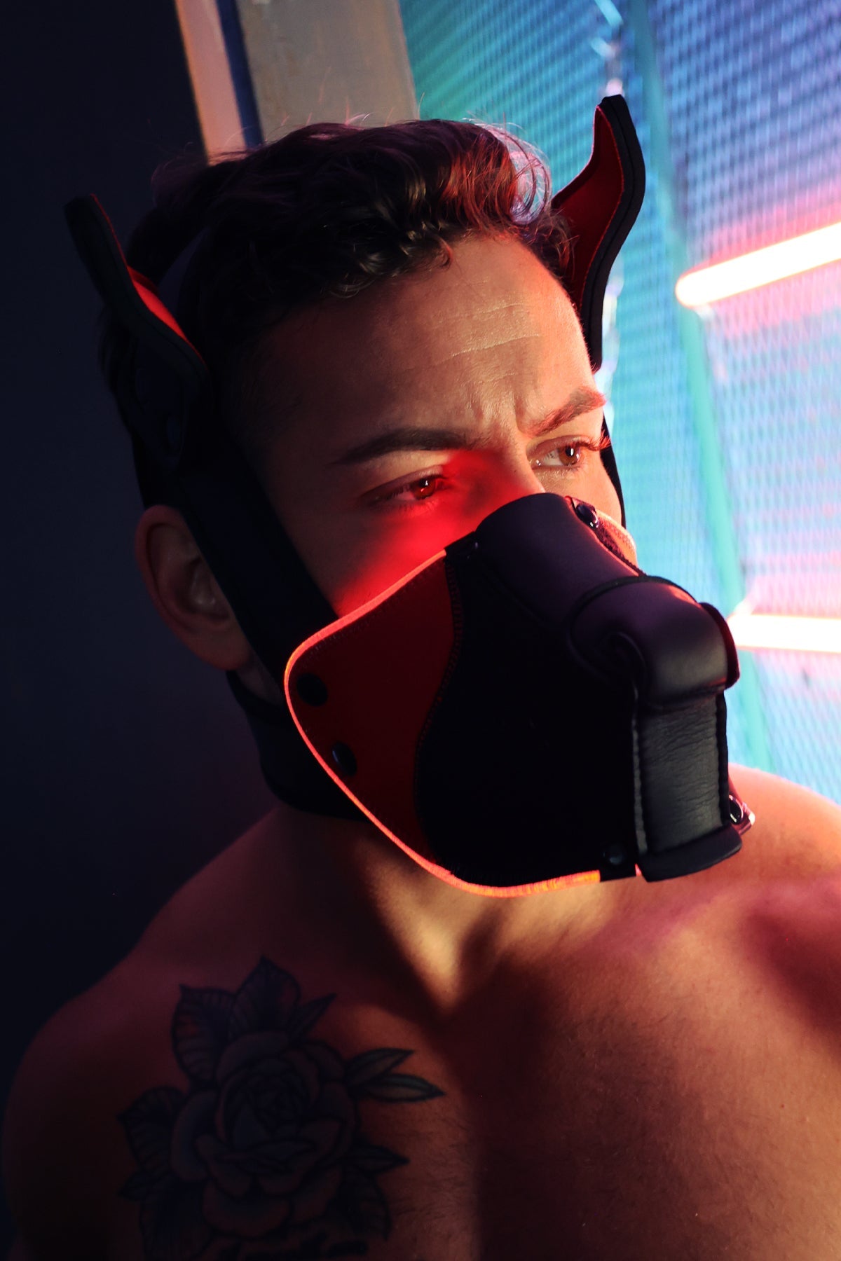 Poundtown Pup Mask 2.0 - Red - Breedwell