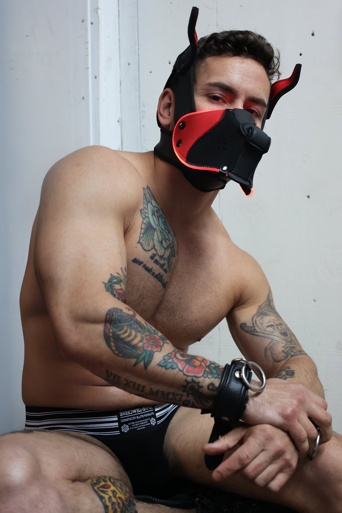 Poundtown Pup Mask 2.0 - Red - Breedwell