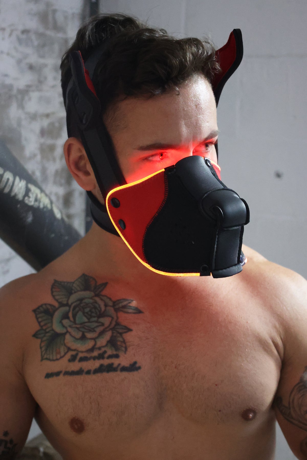 Poundtown Pup Mask 2.0 - Red - Breedwell