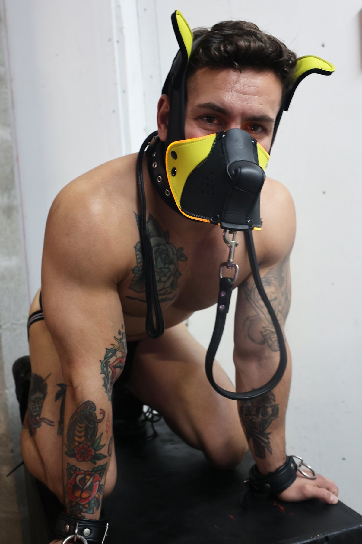 Poundtown Pup Mask 2.0 - Yellow - Breedwell