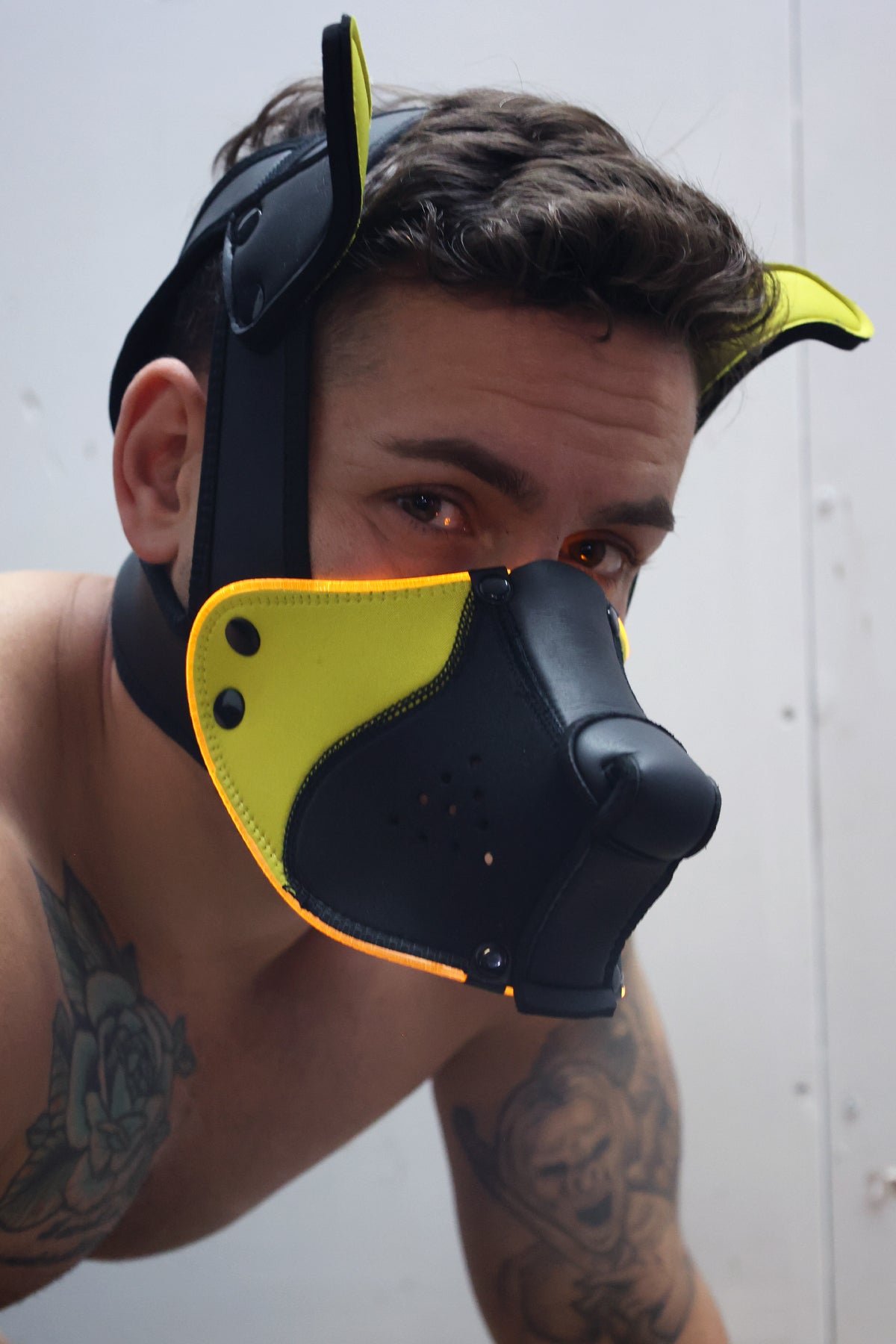 Poundtown Pup Mask 2.0 - Yellow - Breedwell