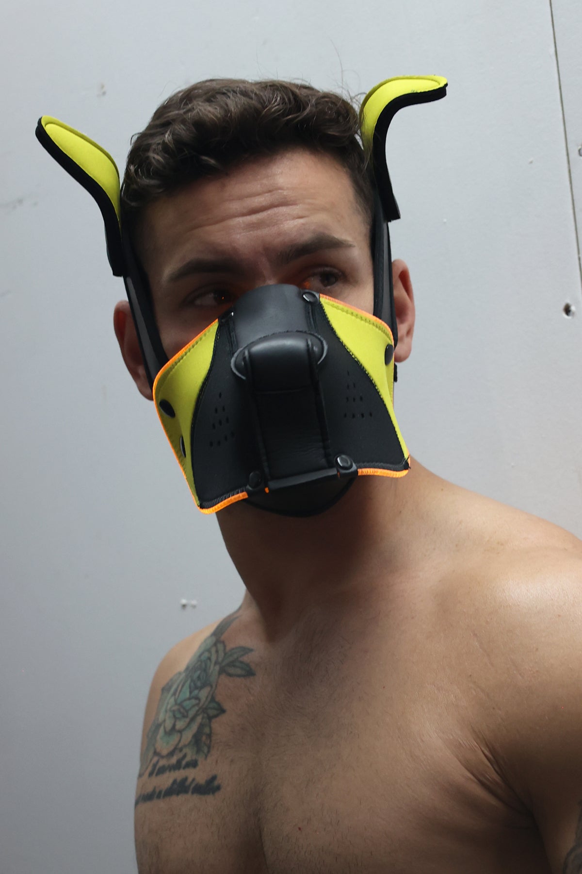 Poundtown Pup Mask 2.0 - Yellow - Breedwell