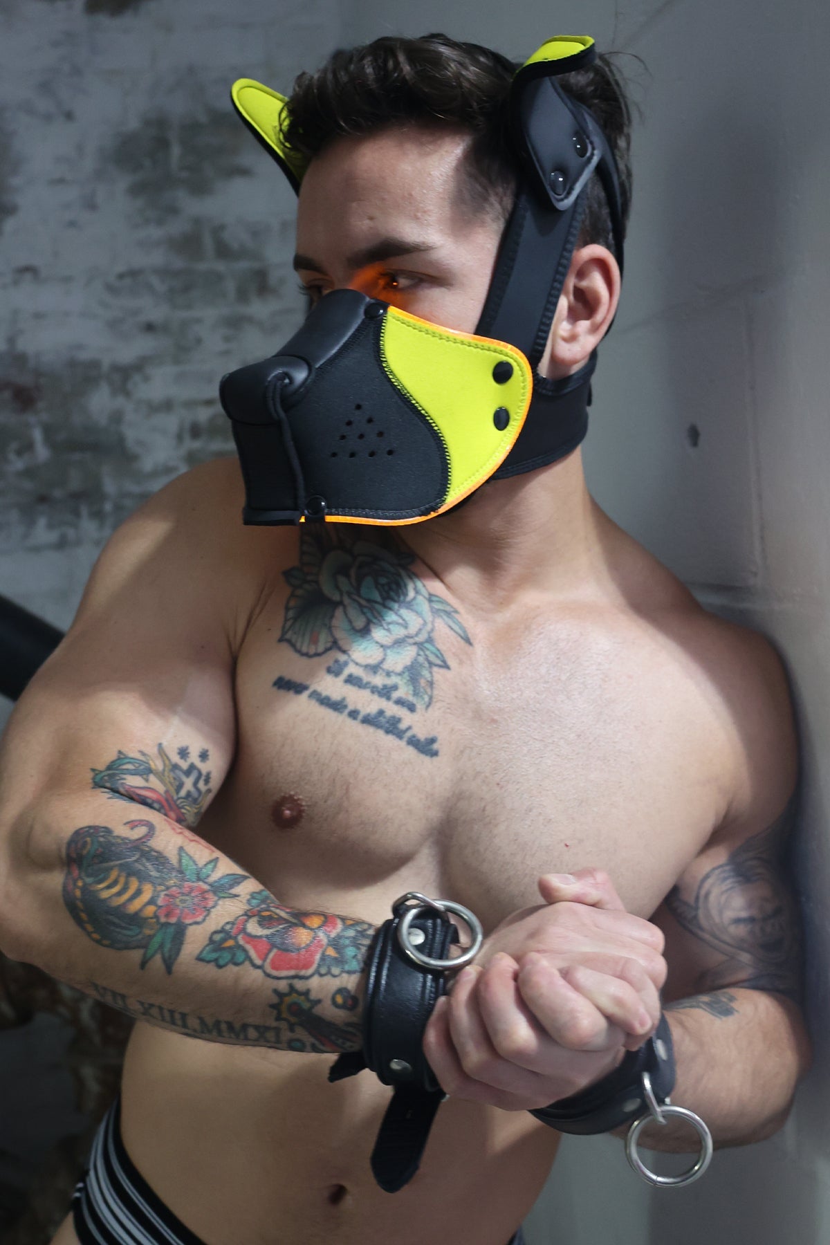 Poundtown Pup Mask 2.0 - Yellow - Breedwell