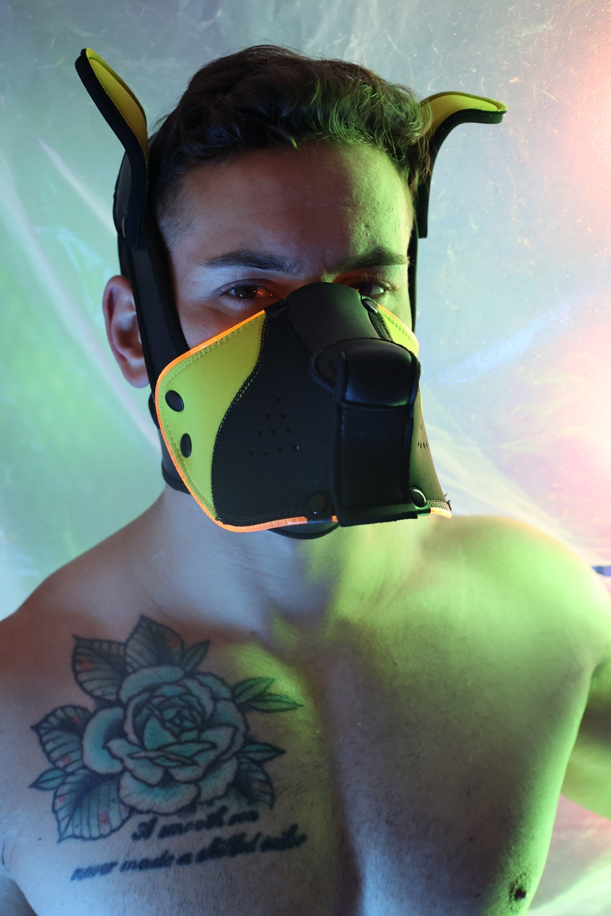 Poundtown Pup Mask 2.0 - Yellow - Breedwell