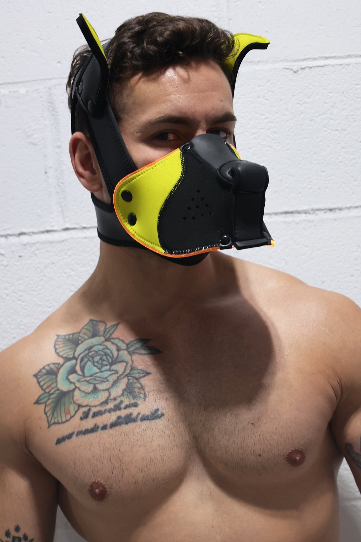 Poundtown Pup Mask 2.0 - Yellow - Breedwell