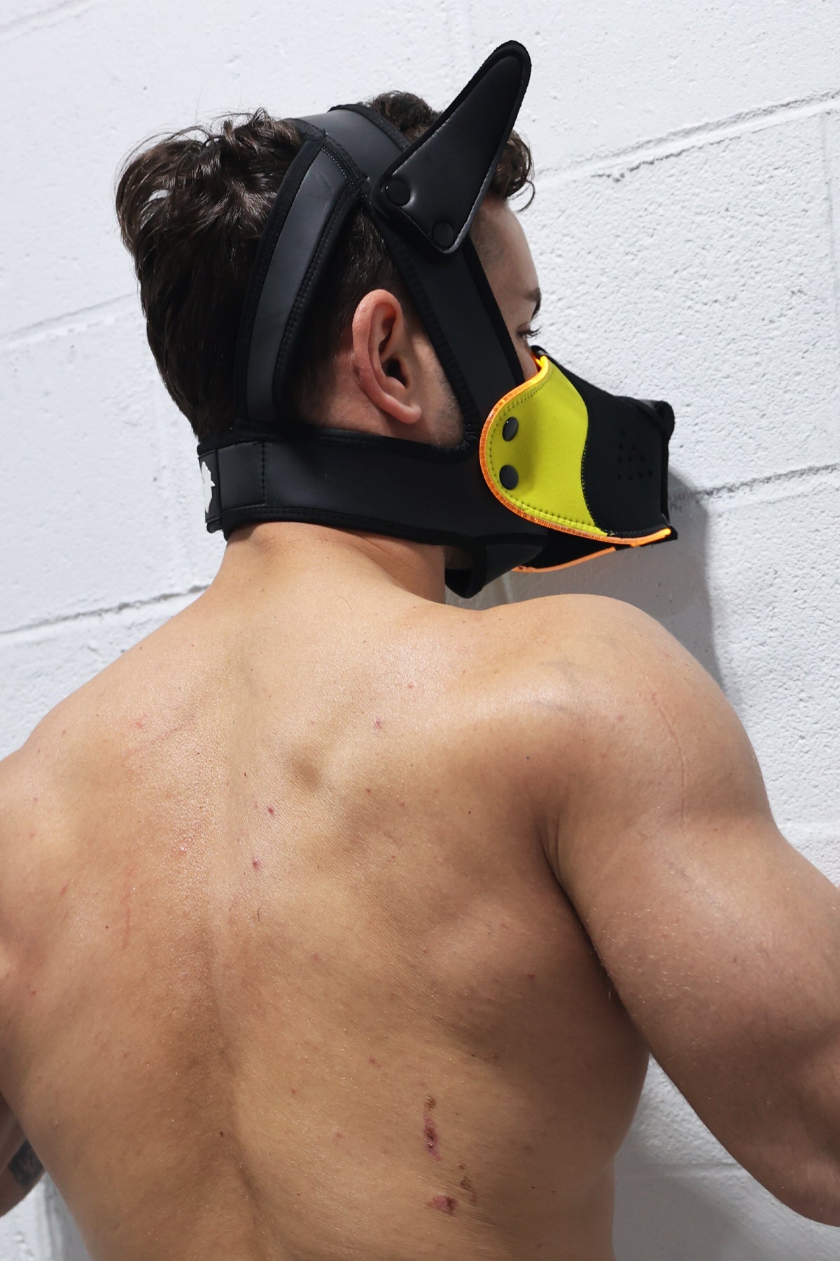 Poundtown Pup Mask 2.0 - Yellow - Breedwell