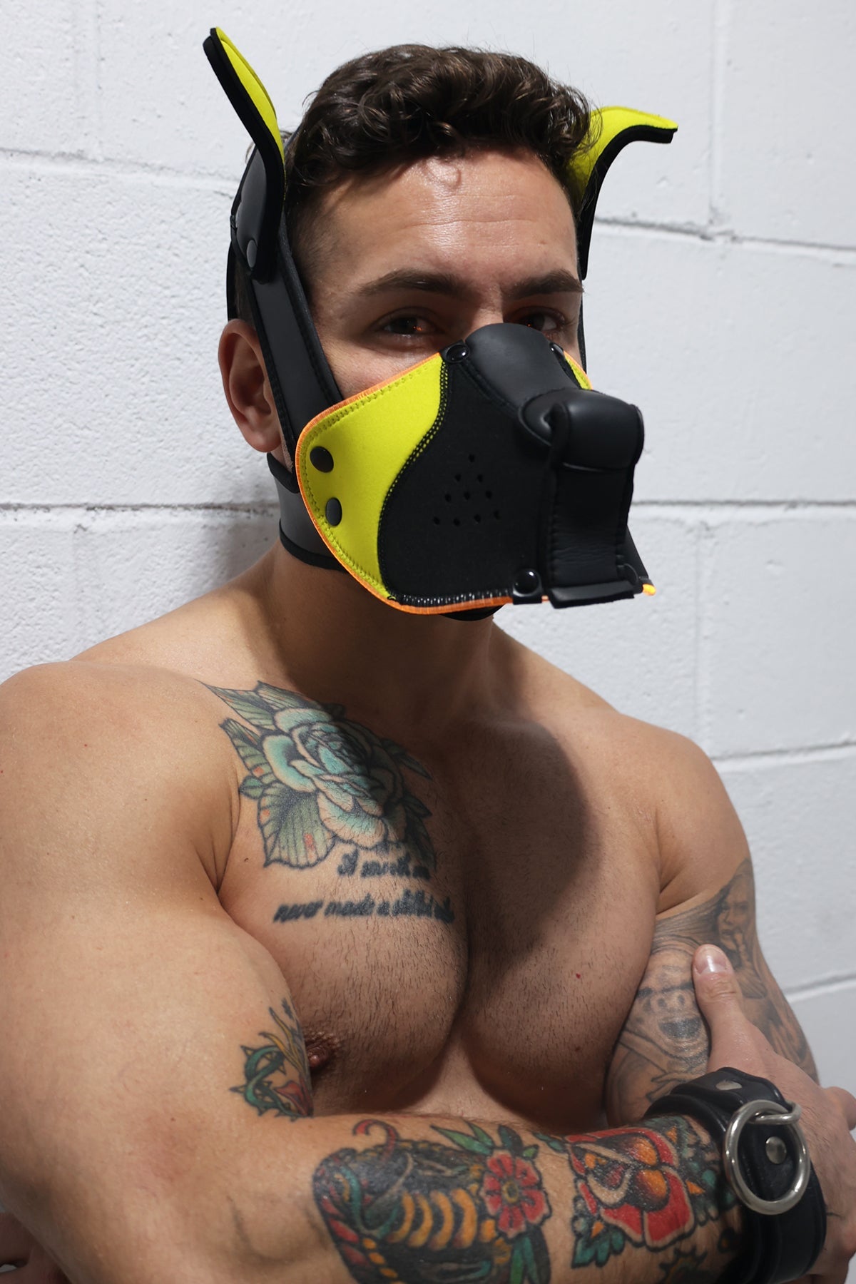 Poundtown Pup Mask 2.0 - Yellow - Breedwell