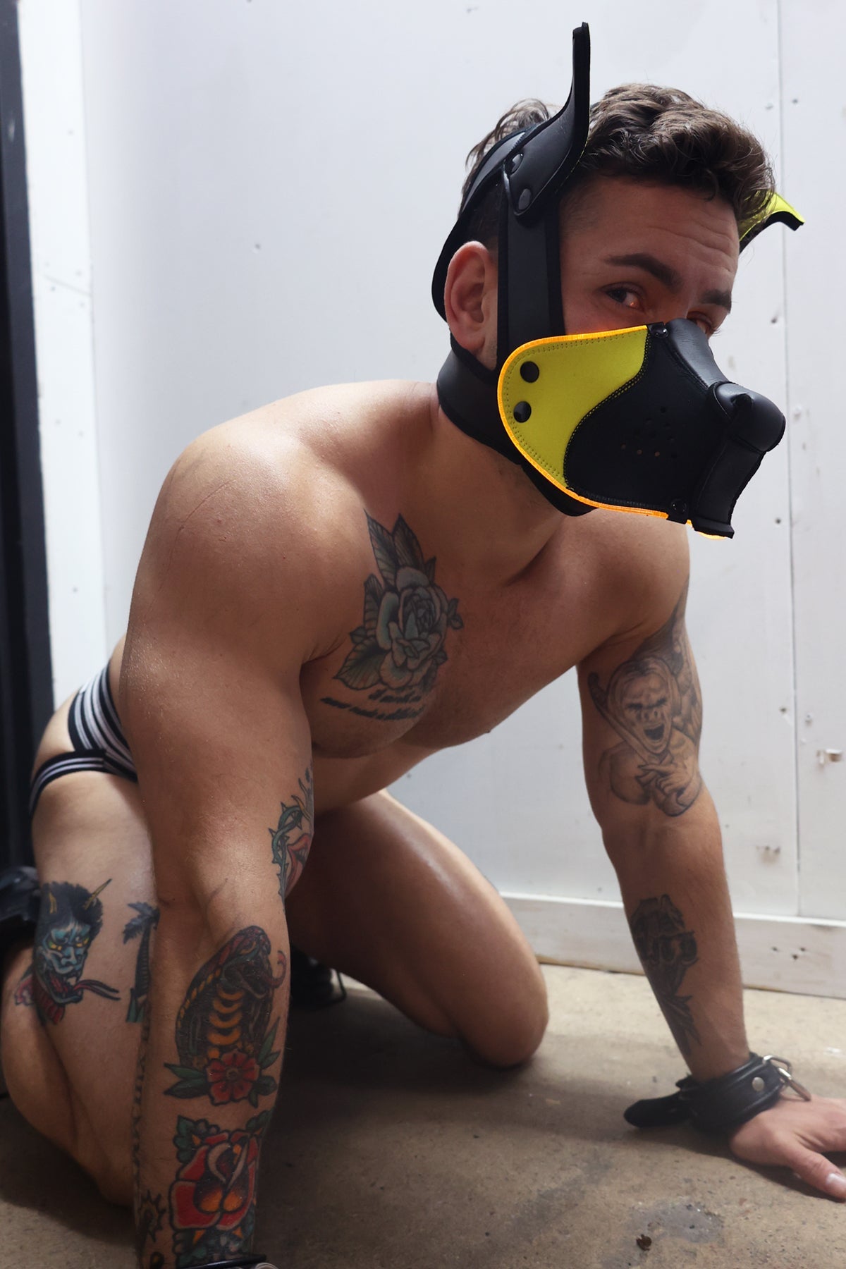 Poundtown Pup Mask 2.0 - Yellow - Breedwell