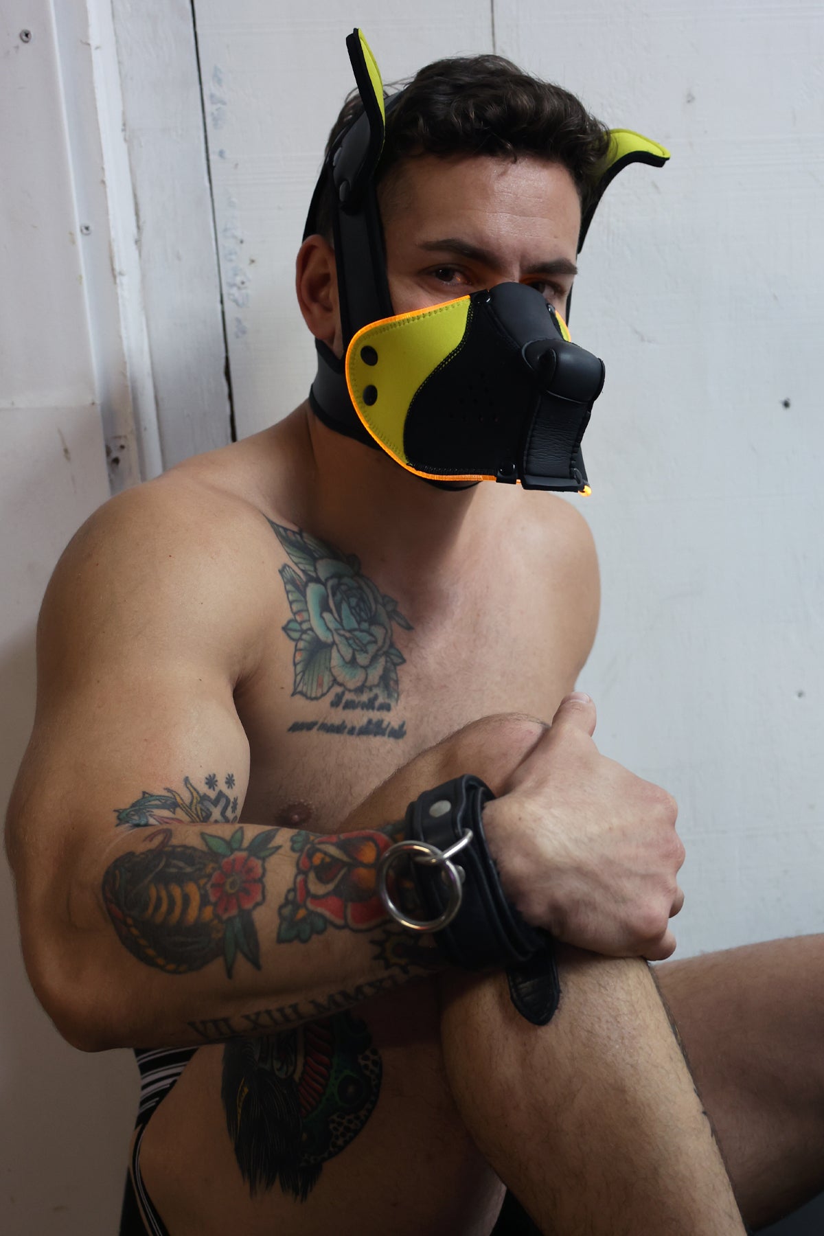 Poundtown Pup Mask 2.0 - Yellow - Breedwell