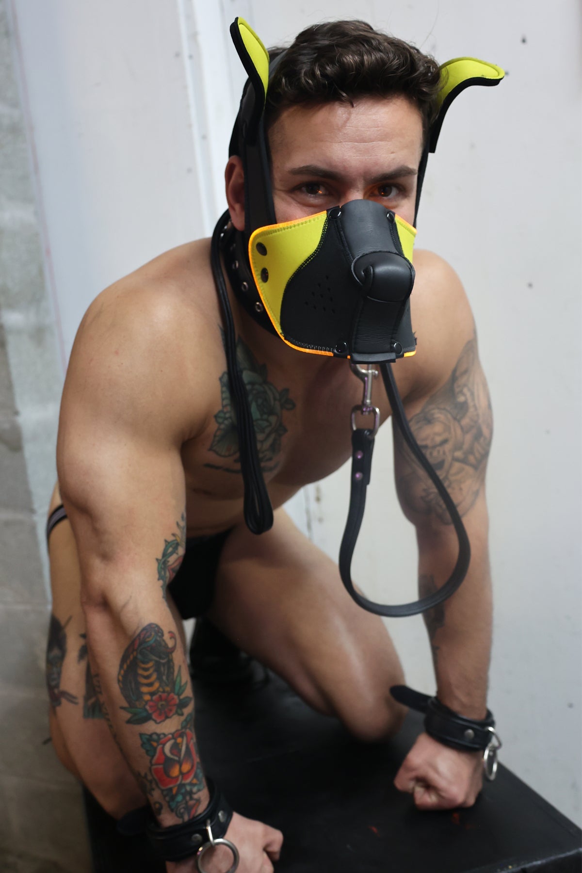 Poundtown Pup Mask 2.0 - Yellow - Breedwell