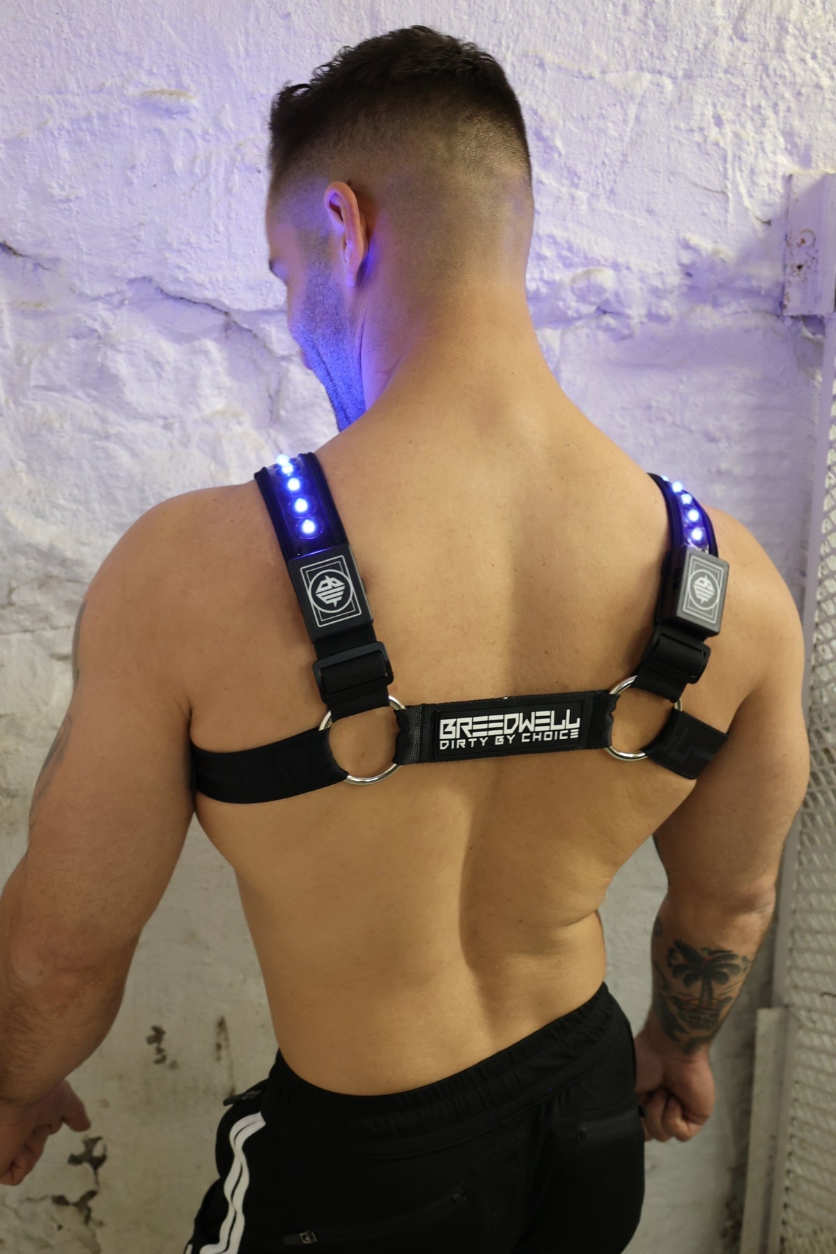 Prismaglow Bulldog Harness - Breedwell