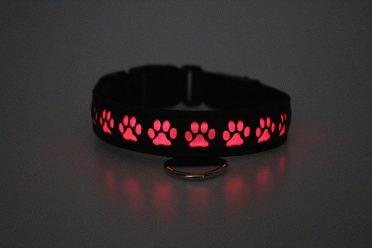 Pup Collar - Breedwell