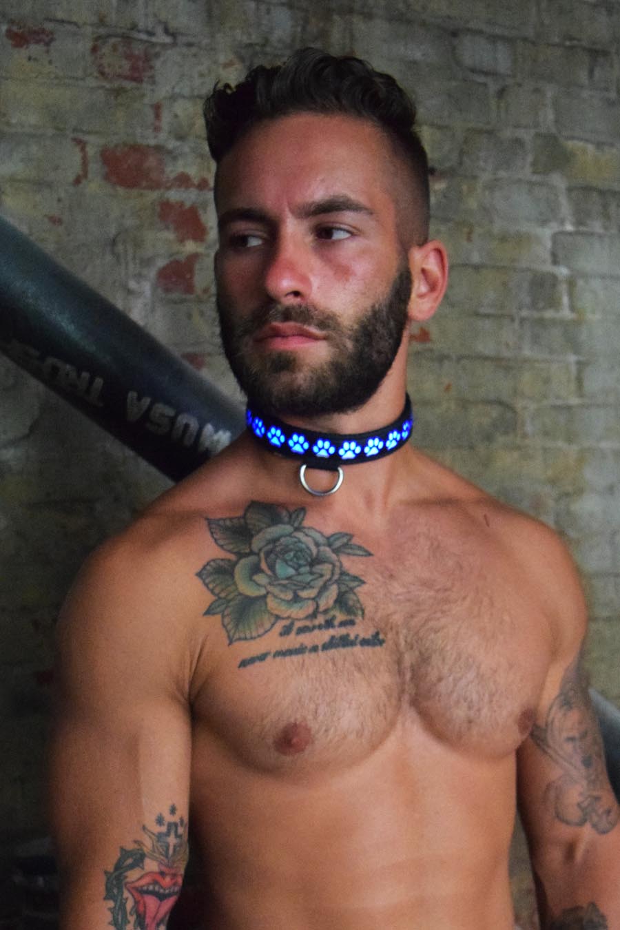 Pup Collar - Breedwell