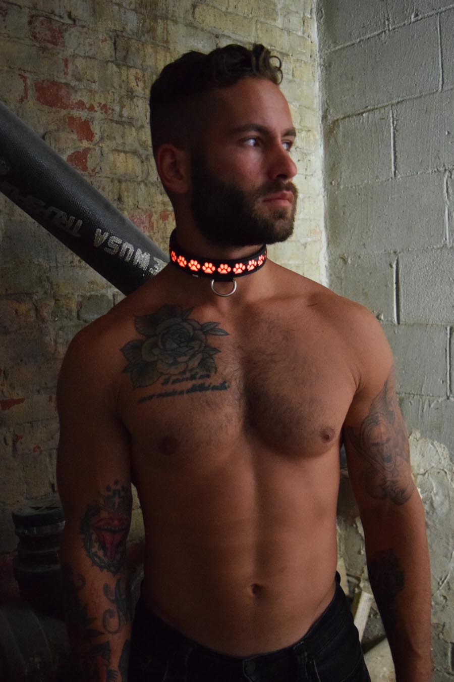 Pup Collar - Breedwell