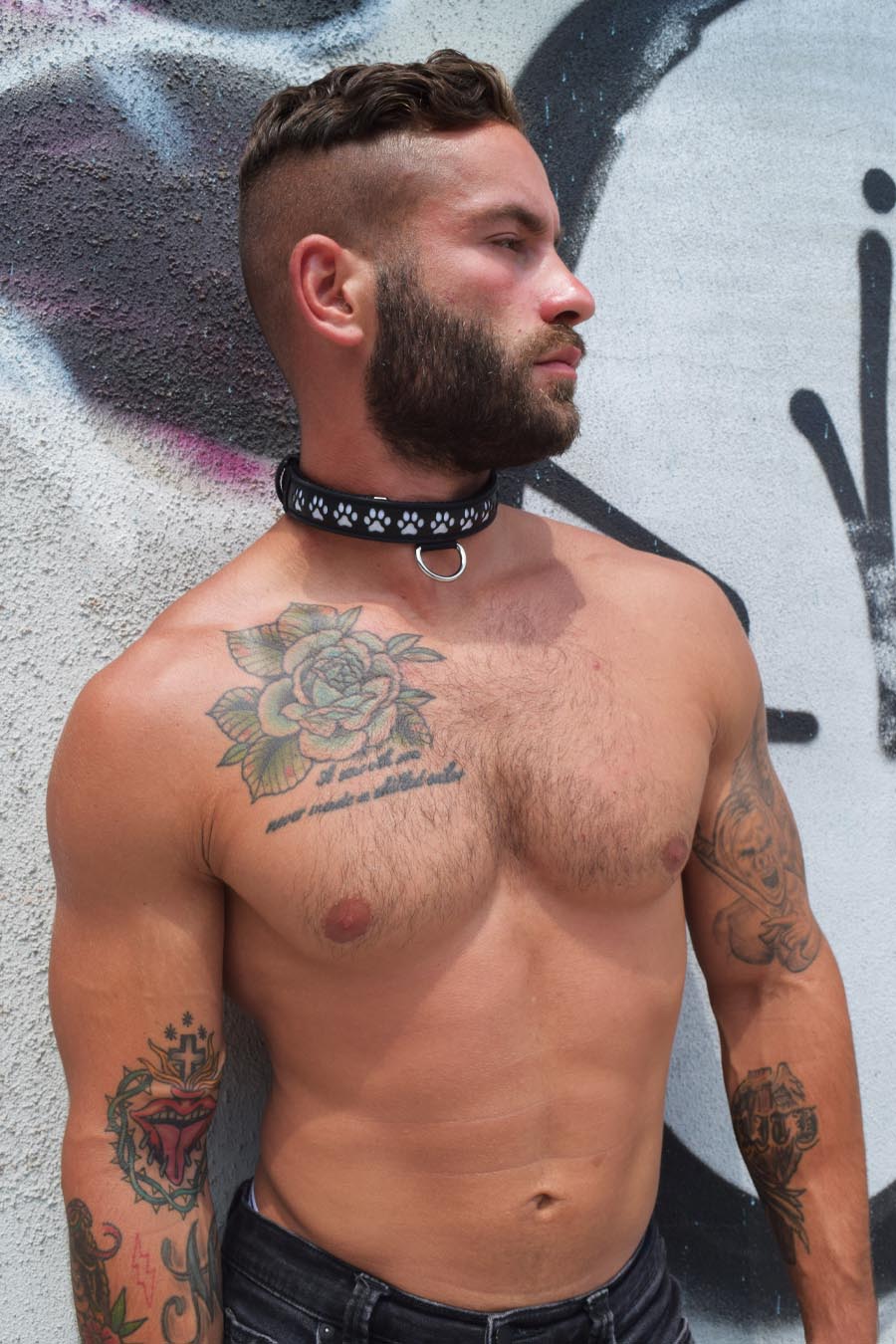 Pup Collar - Breedwell