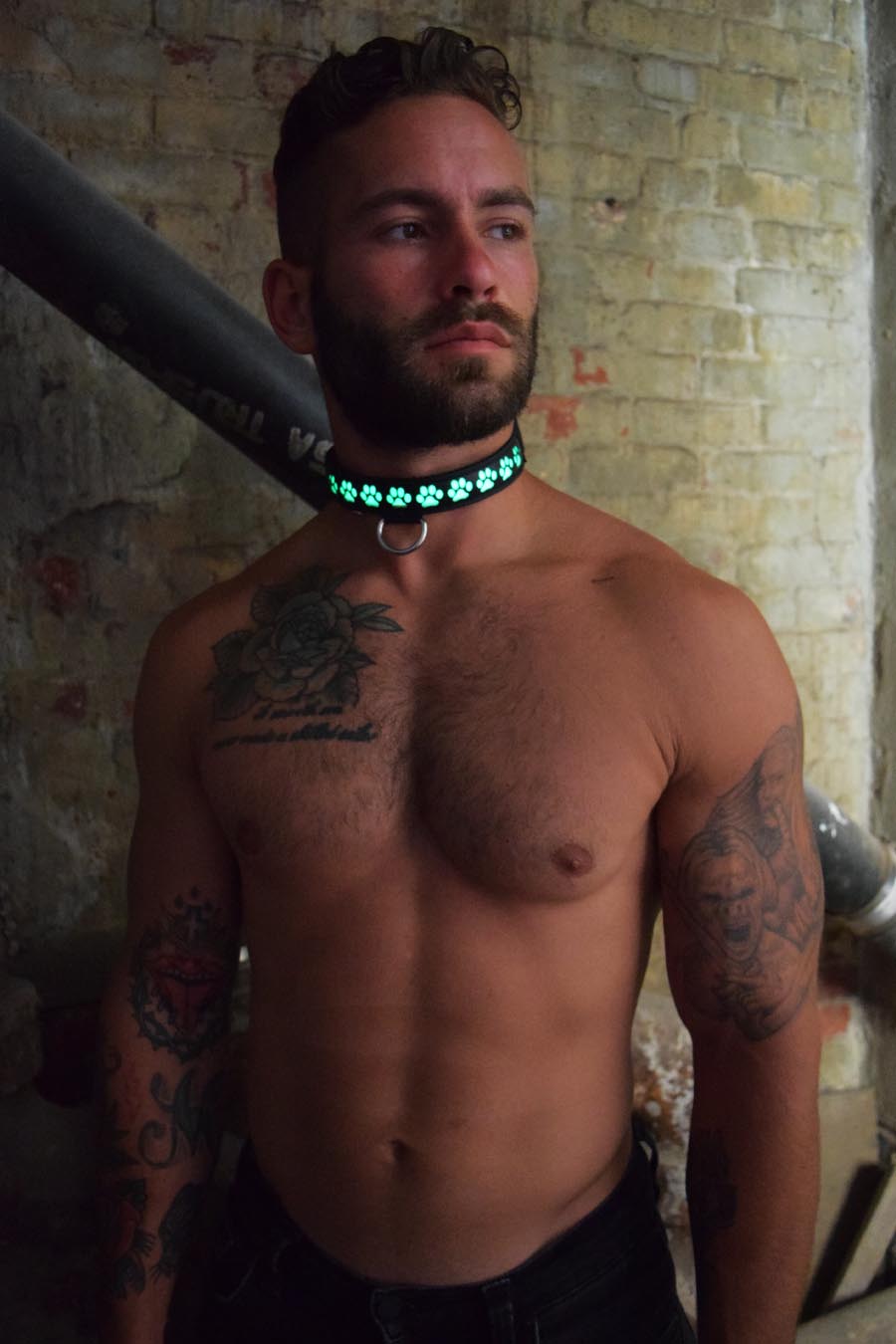 Pup Collar - Breedwell