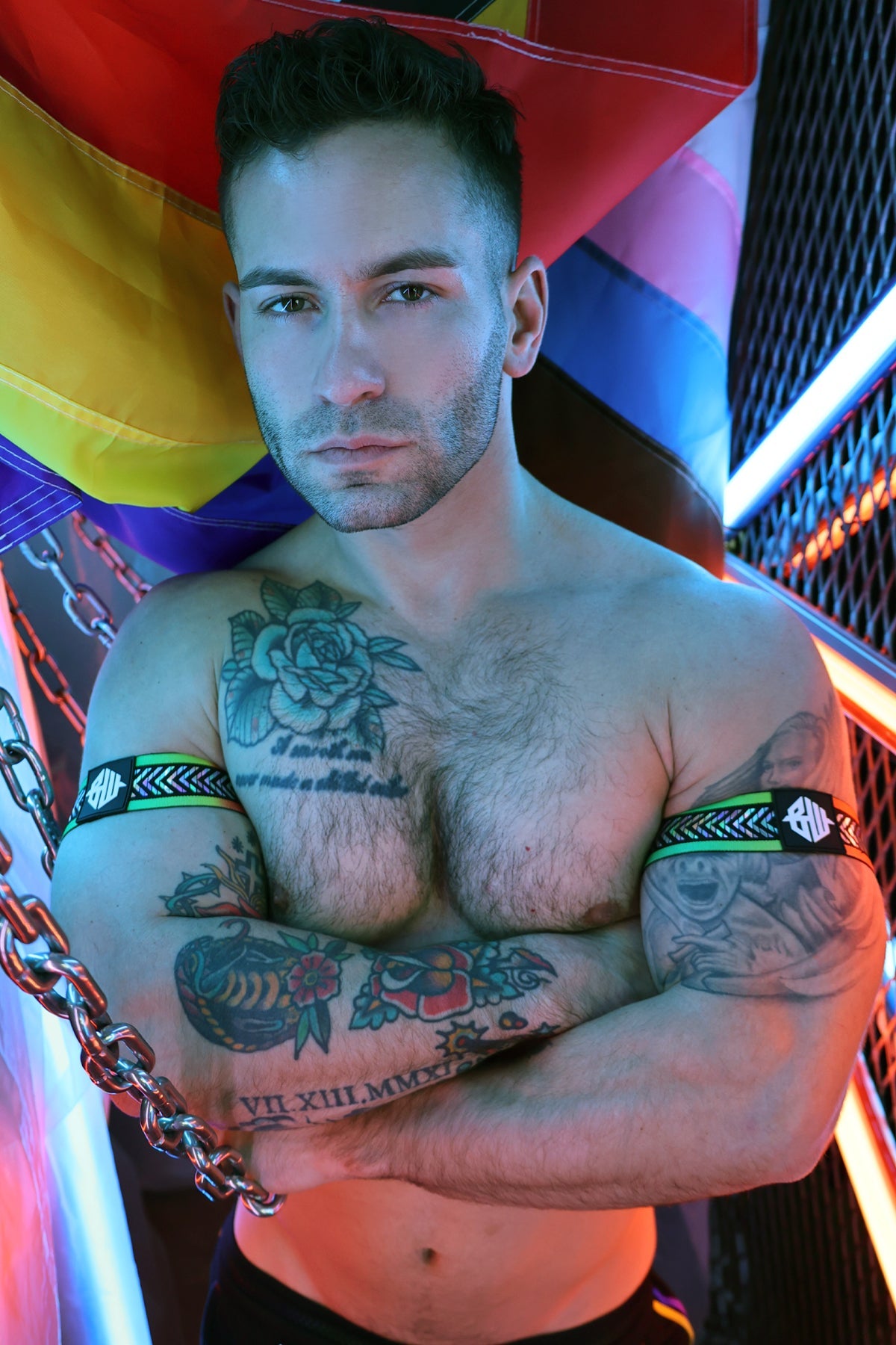 Pure Pride Armbands - Breedwell