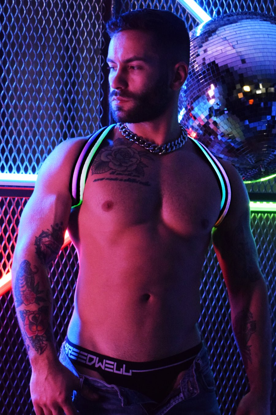 Rainbow Glow Shoulder Harness - Breedwell