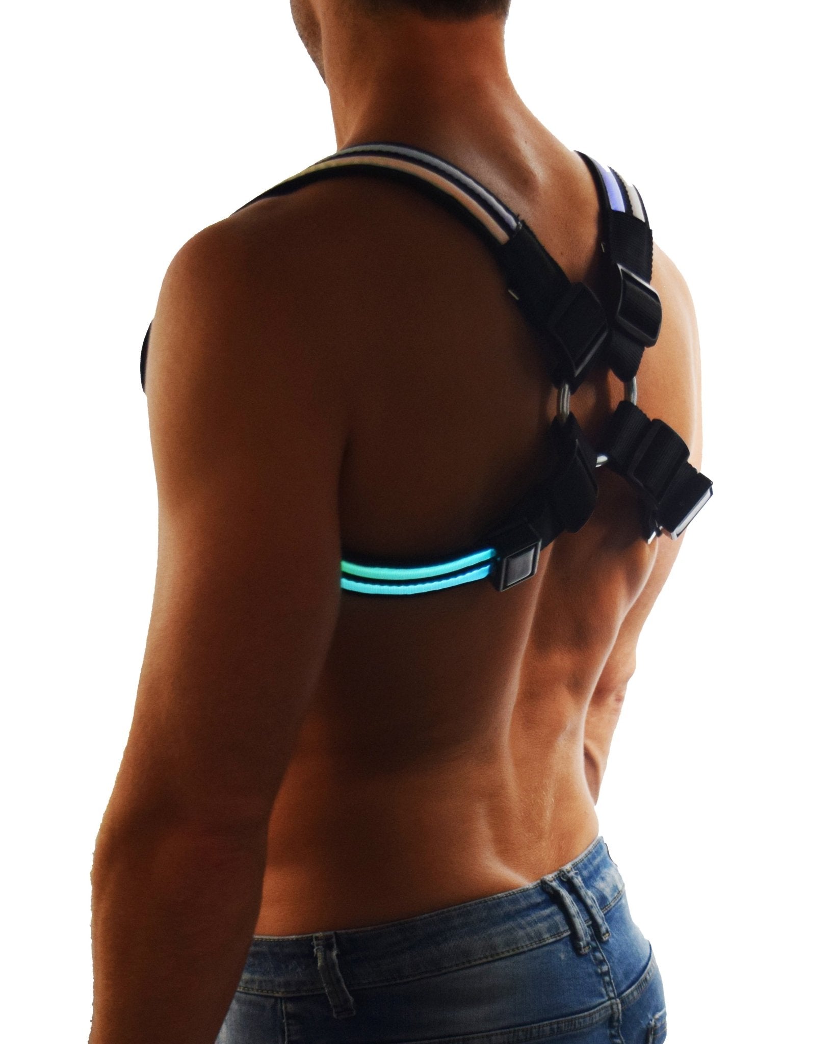 Rainbow Glow Shoulder Harness - Breedwell