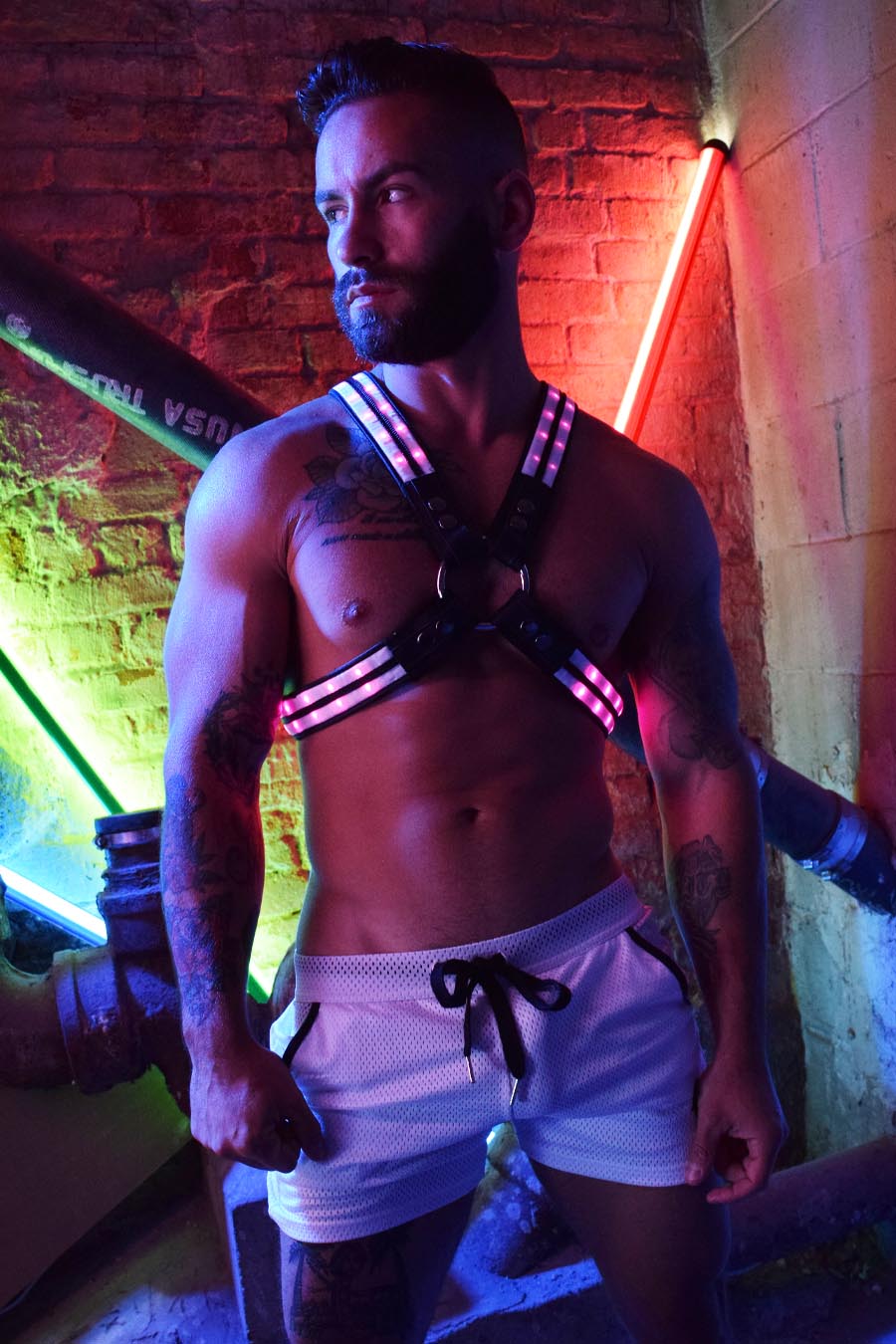 Rave Cross Harness - Breedwell