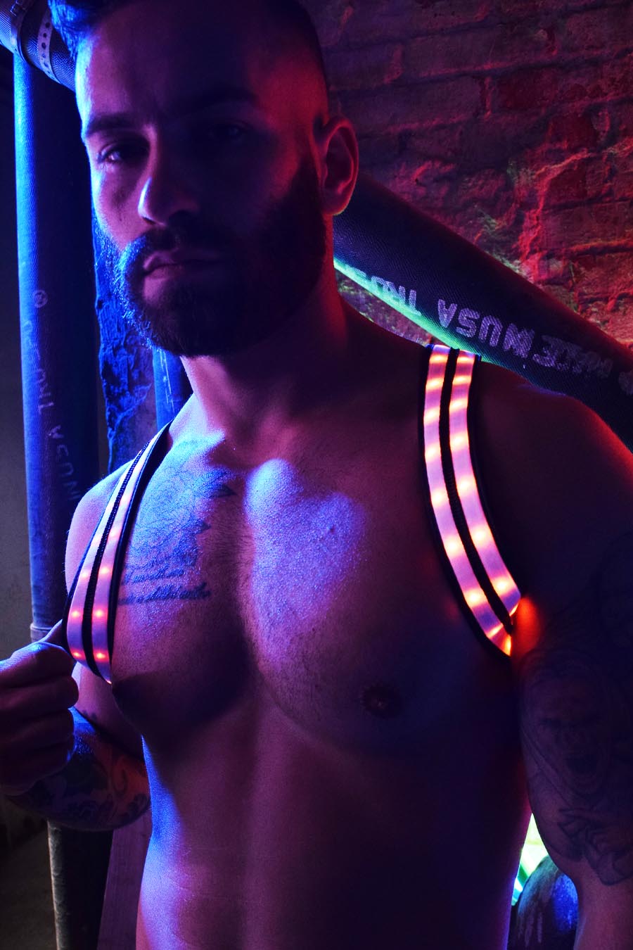 Rave Shoulder Harness - Breedwell