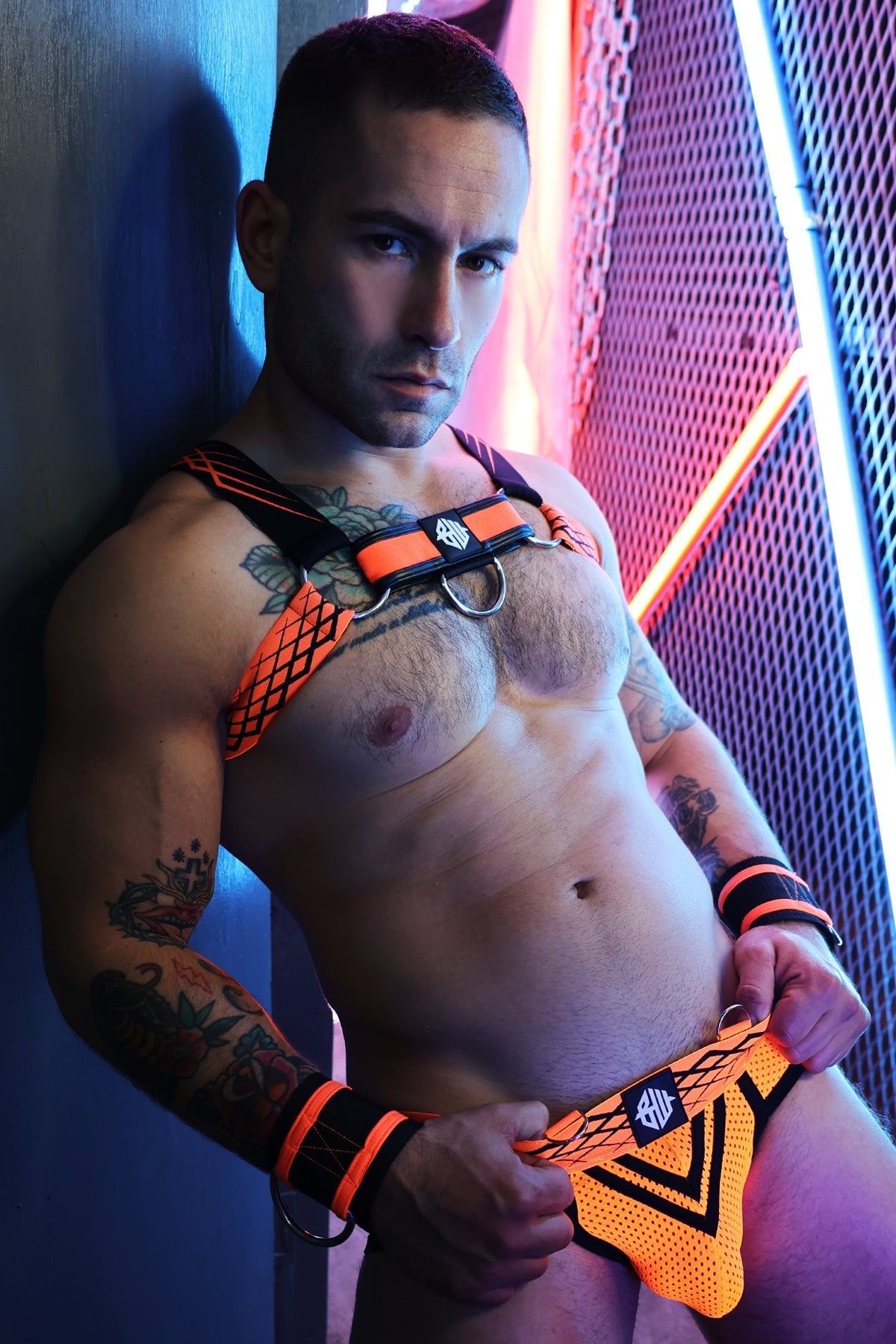 Revolution Bulldog Harness - Breedwell