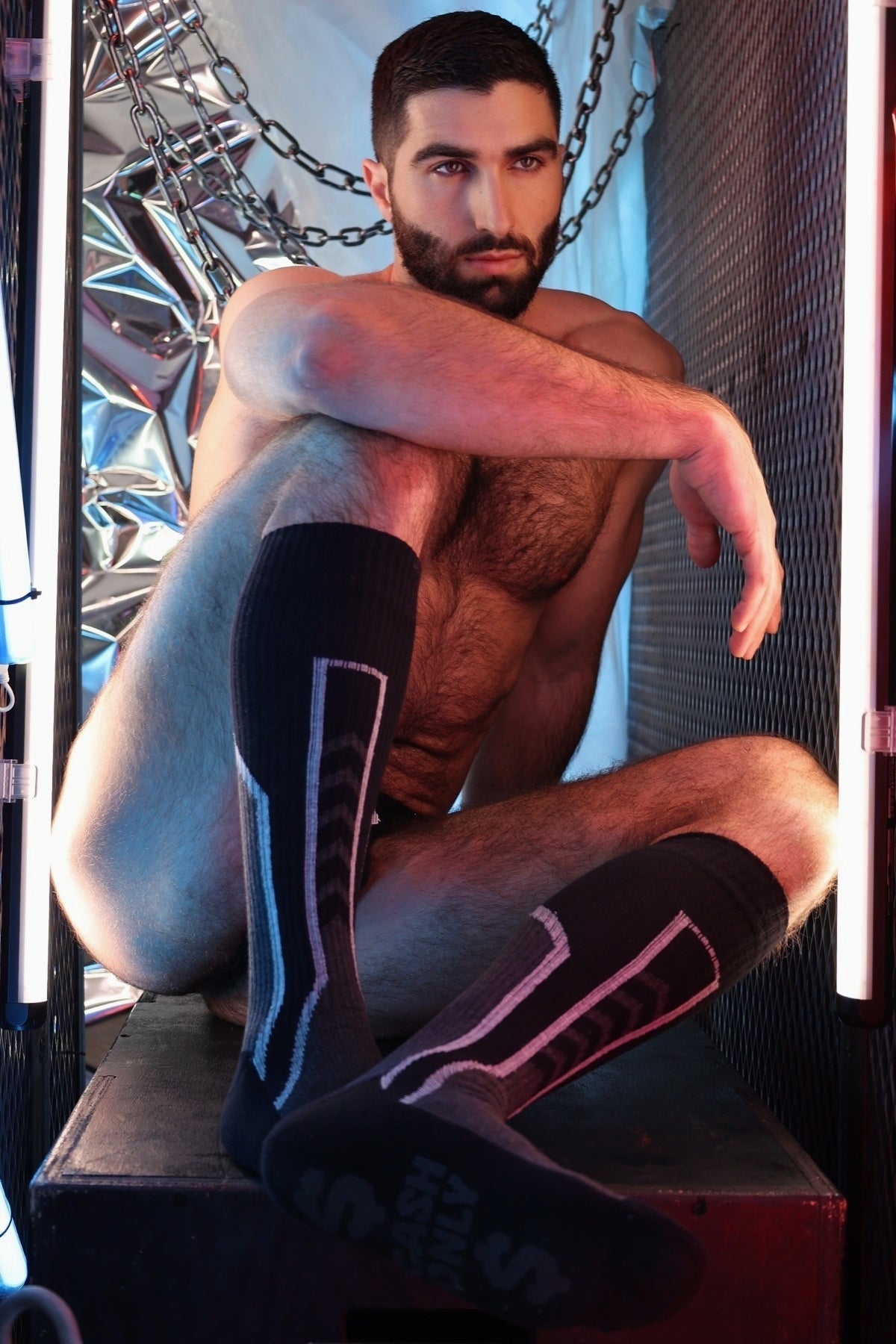 Sir Splurge Socks - Breedwell