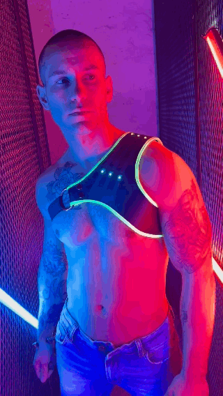 SYNERGY HARNESS - NEON GREEN