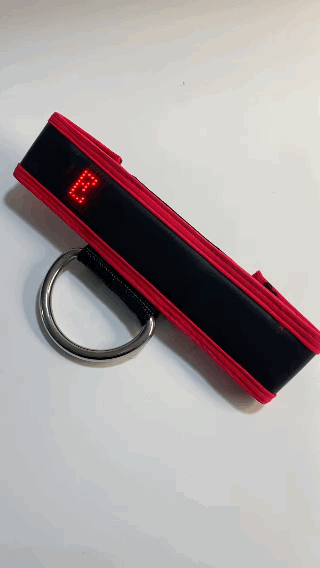 MARQUEE CENTER STRAP - RED