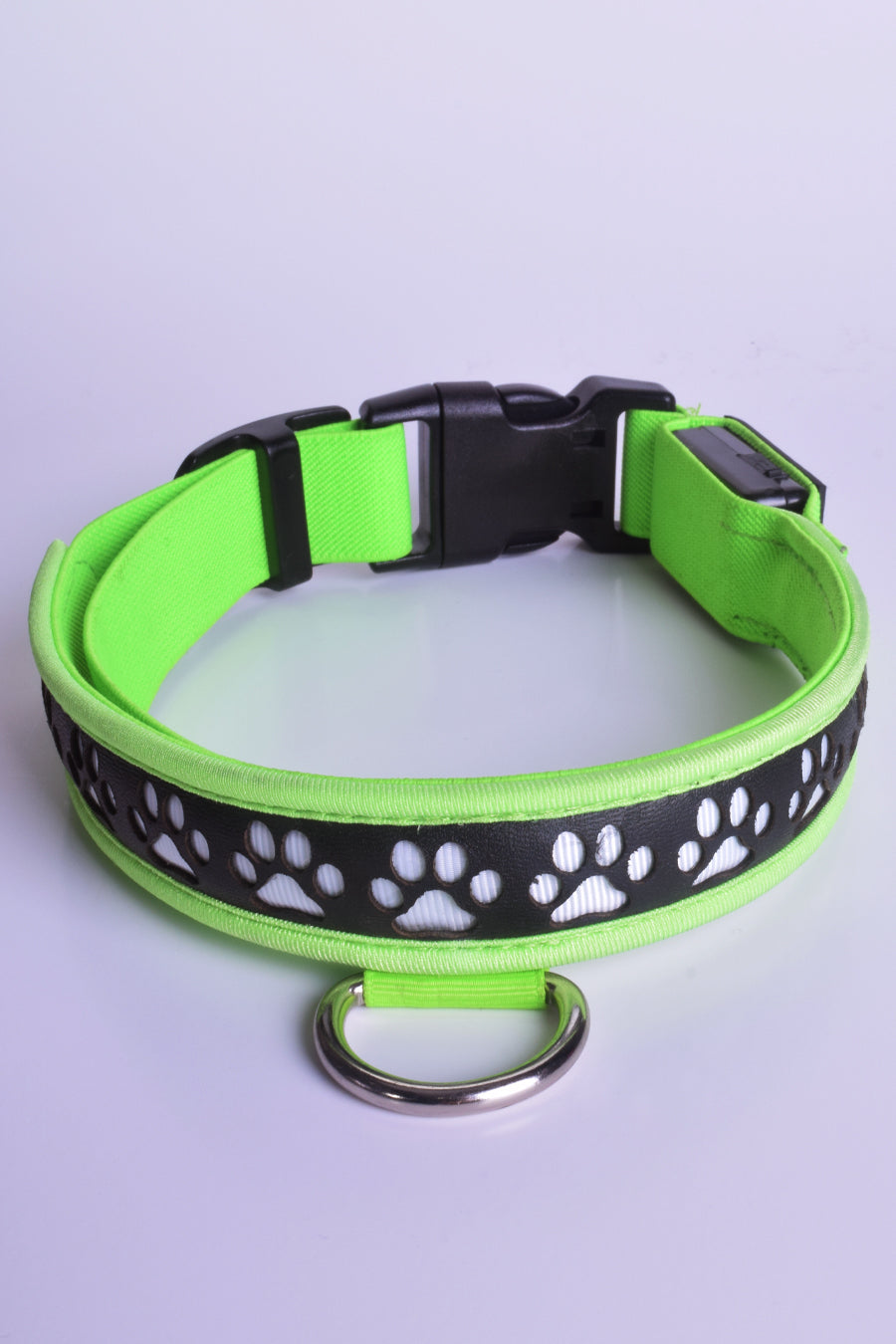 Neon collar hot sale