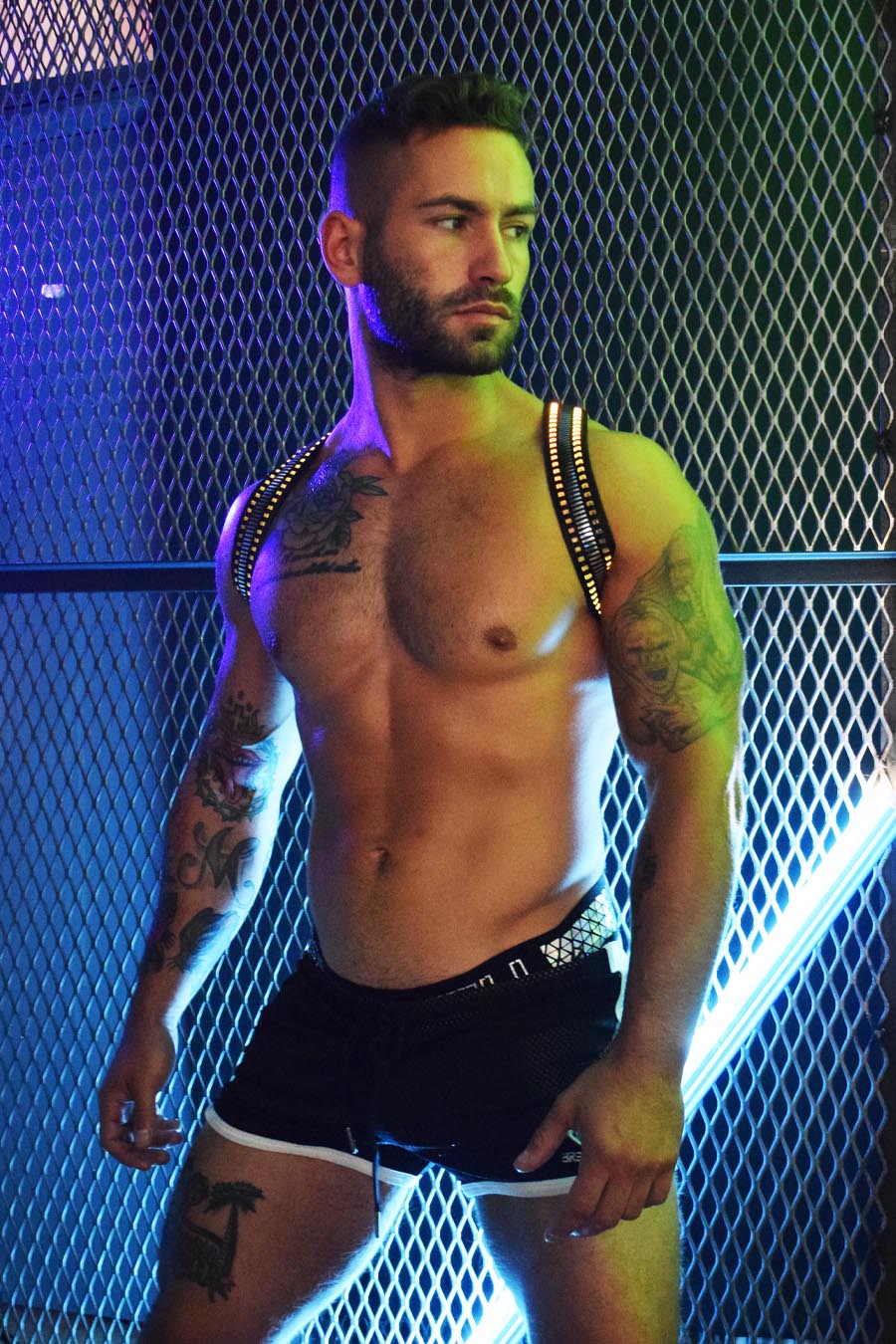 MIRROR GLOW SHOULDER HARNESS